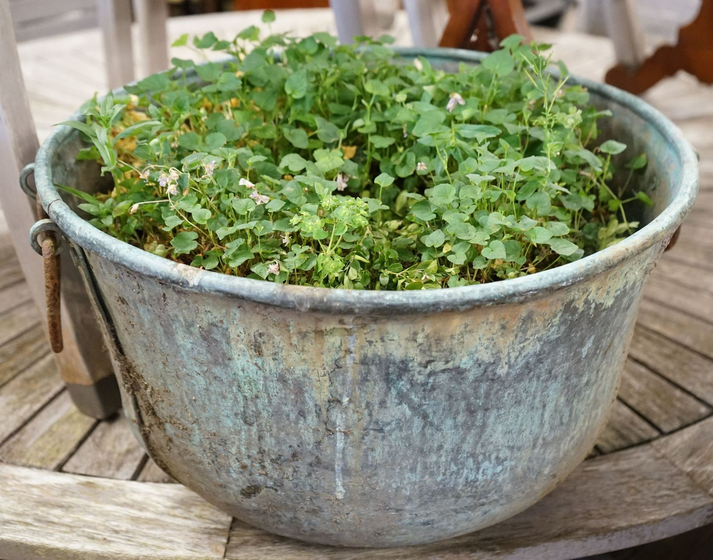 A circular copper garden planter with wrought iron handles, diameter 48cm height 28cm